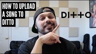 How To Upload A Song To Ditto Distribution [upl. by Leaj]