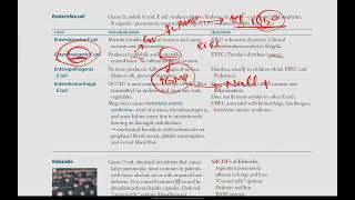 Escherichia coli  Microbiology  18  First Aid USMLE in UrduHindi [upl. by Bushweller]