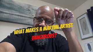 A MORE DANGEROUS MARTIAL ARTIST 30 YEARS after being a FIGHTER 4 REASONS WHY [upl. by Artied676]