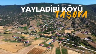 YAYLADİBİ KÖYÜ  Halamaz   34  Amasya keşfet keşfetteyiz village [upl. by Aniela50]