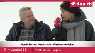 Sagen Sie mal Herr Wetterschmöcker Haben die Ameisen den Schnee vorausgesagt [upl. by Ahsikrats]