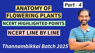 Anatomy of Flowering Plants in Tamil  Part 4  NCERT Line by line  TB 2025 [upl. by Roydd]