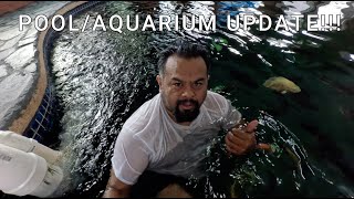 UPDATE ON THE SWIMMING POOLAQUARIUM [upl. by Nerej]