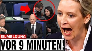 WEIDEL GREIFT BAERBOCK AN 🚨 BUNDESTAG IST IM CHAOS 🚨 DIE REDE DER AFD IST SCHOCKIEREND [upl. by Hait102]