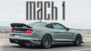 PERFECTION 2021 Ford Mustang Mach 1 Review [upl. by Etteniotnna]