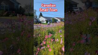 Canadian Small Town [upl. by Dnumyar]