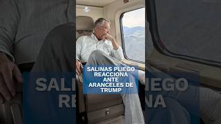 Esto piensa Salinas Pliego sobre la medida de aranceles de Donald Trump shorts [upl. by Modie983]