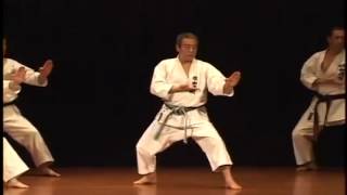 bassai dai kata bunkai kanazawa YouTube [upl. by Esinad]