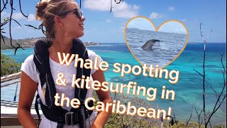 👀 WALVIS SPOTTEN en kitesurfen in St Vincent en de Grenadines [upl. by Hopkins]