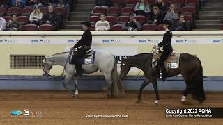 2022 Farnam AQHA and Adequan Select World 2YearOld western pleasure [upl. by Lebam]