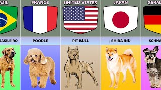 Dog Breeds From Different Countries comparison video comparison data Almas Data [upl. by Sicard157]