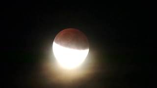 Partial Lunar Eclipse  Partielle Mondfinsternis 2019071617 [upl. by Esirahc]