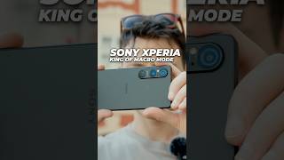 🔎 Smartphone Macro Photography Beast  New Sony Xperia 1VI photography smartphone [upl. by Stephens14]