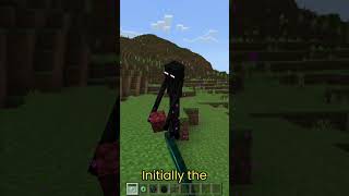 Did you know Endermites Minecraft Curiosities [upl. by Faline]