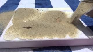 DIY Sand Art Canvas [upl. by Lenette]