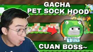 GACHA LOW BUDGET TAPI CUAN BOSKU  Gacha Pet Sock Hood  Growtopia Gacha Profit 2024 [upl. by Olleina]