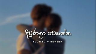 Centigradz  දිවුරාලා පවසන්න Slowed  Reverb [upl. by Dallman]