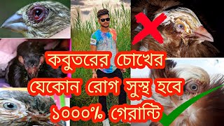 pigeon eye infection medicine name pigeon eye diseases treatment pigeon eye problem treatment [upl. by Aikar]