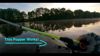 Chickahominy River Bass Fishing June 2024 [upl. by Franza]