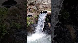 San Antonio hot springs Jemez Mountains New Mexico shortsvideo [upl. by Tezzil]