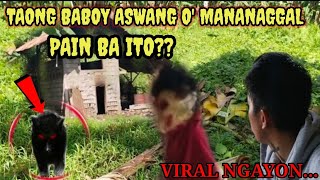 TAONG BABOY  ASWANG O MANANANGGAL kritikal intense viral kmjs [upl. by Ahsieyt939]