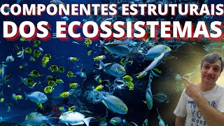 Componentes estruturais dos ecossistemas [upl. by Yenroc]