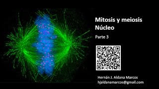 Mitosis y meiosis Parte 3 Hernán Aldana [upl. by Ynohtnanhoj]