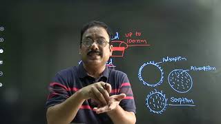 Surface Chemistry L1  Adsorption and Absorption  For NEETJEE EAPCET amp Olympiad  Class 12 [upl. by Aremus236]