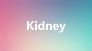 Kidney  Medical Meaning and Pronunciation [upl. by Sheply]