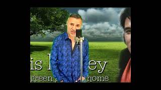 green green grass of home Elvis cover [upl. by Aynatahs634]