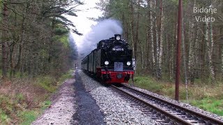 Eisenbahn 2012 25 Dampfloks  Steam Trains  Züge [upl. by Marba]