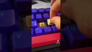 Checking out glorious panda switches tiktok keyboards custom shorts foryou [upl. by Cressi404]