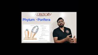 Phylum  Porifera Animal classification  viral short  Avinash sir [upl. by Leimaj]