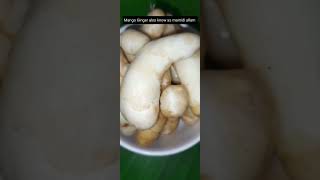 Mamidi Allam pachadi  Maa inji chutney  Mango ginger chutney  Youtubeshorts  Shorts [upl. by Perpetua228]