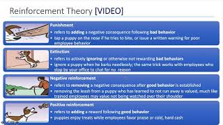 Organizational Behavior Punishment and reinforcement [upl. by Sill311]