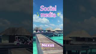 beautiful reels  reelsremixreelsinstagram Social Media Nexus [upl. by Hunsinger]