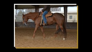 Whisper Sumthin Hot  Western  2011 AQHA Mare  Misko Quarter Horses [upl. by Sicular]