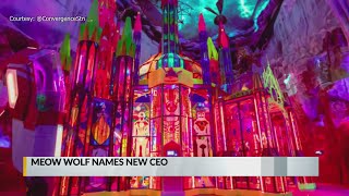 Meow Wolf names new CEO [upl. by Annairba]