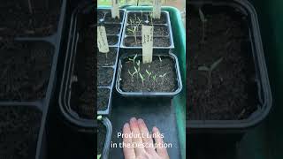 How I use heat mats to start seeds in my unheated greenhouse every spring [upl. by Zinnes597]