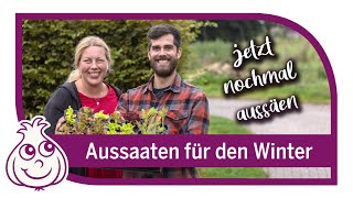 Aussaaten im September  das macht noch Sinn dergartenkanal [upl. by Imak]