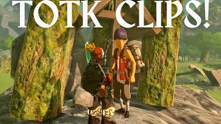 Amusing TOTK Clips [upl. by Monteria]