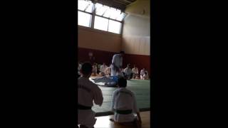 Enshin Karate  Sabaki Method [upl. by Jit]