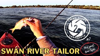 Fishing the Flats for TAILOR [upl. by Eciral]