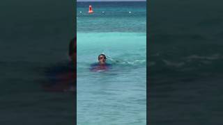 Our exciting SEABOB adventure in Aruba seabob aruba arubavacation snorkeling freediving [upl. by Adnov]