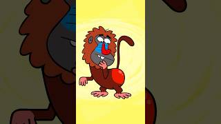 Hello May I See Your Behind – Hooray Kids Songs funnyvideo nurseryrhymes shorts baboonsong [upl. by Zins]