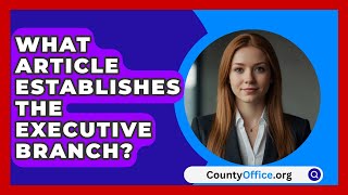 What Article Establishes The Executive Branch  CountyOfficeorg [upl. by Caylor]