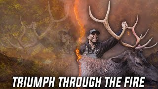 Triumph Through the Fire  An Idaho Elk Bowhunting Film [upl. by Nanaek72]