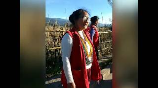 Apatani woman singing folk song  Ziro valley  Amazing Arunachal  folk song [upl. by Inatsed]