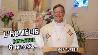 Homélie de Mgr Aupetit  dimanche 6 oct 24 [upl. by Lyrehc]