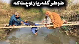 Tuti Gula Reyan Ochat Ka Pashto New Funny Video 2024 by Tuti Gull Vines [upl. by Rufena]